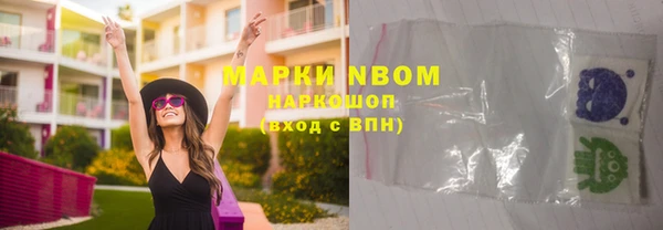 амф Новокубанск