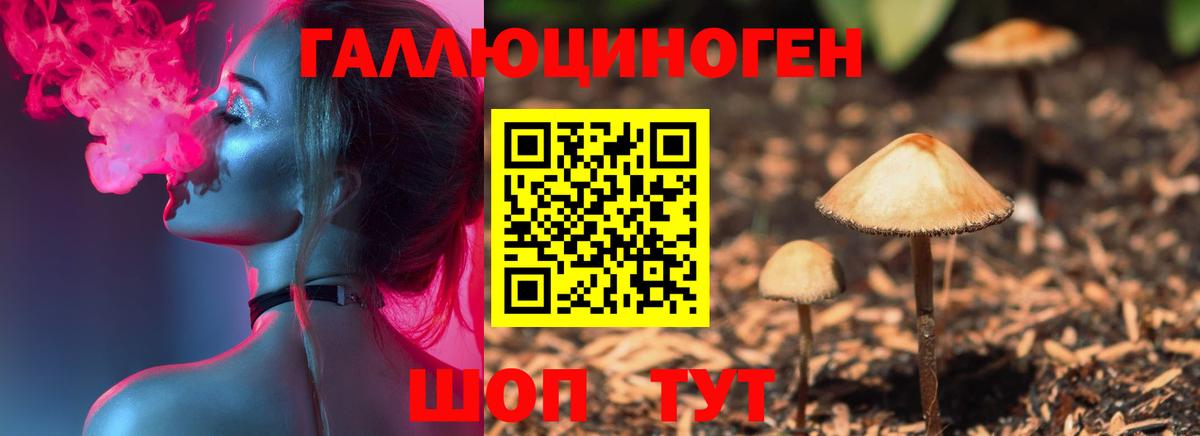 Галлюциногенные грибы Cubensis Северобайкальск